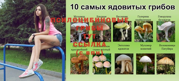 а пвп мука Аркадак