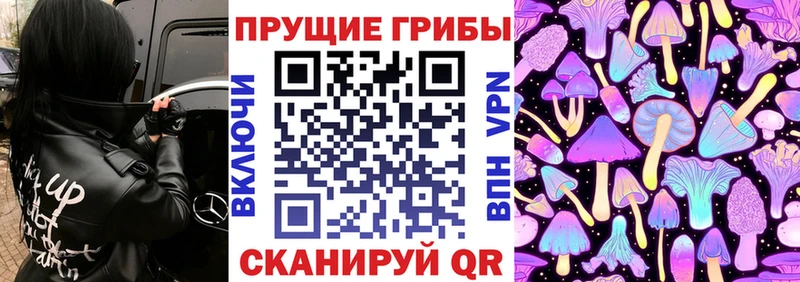 купить сайты Микунь гидра ССЫЛКА Псилоцибиновые грибы GOLDEN TEACHER